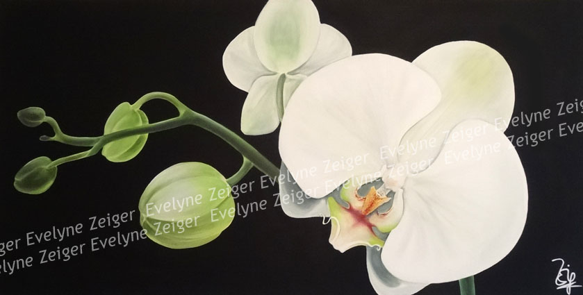 Branche d'orchidée 3
Acrylique sur toile
120 x 60 cm
/ Evelyne Zeiger