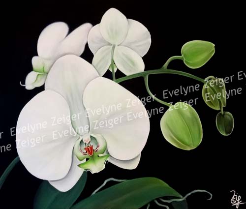 Branche d'orchidée 4
Acrylique sur toile
65 x 54 cm
/ Evelyne Zeiger
