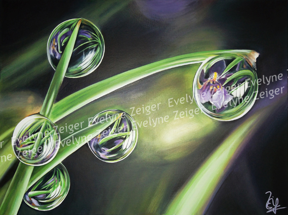 Gouttes et iris
Acrylique sur toile
81 x 60 cm
/ Evelyne Zeiger