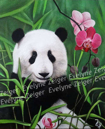 Panda et orchidée
Acrylique sur toile
38 x 46 cm
/ Evelyne Zeiger