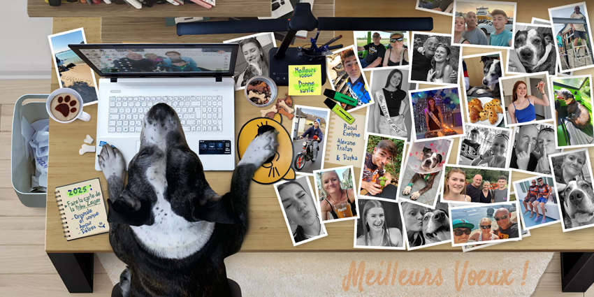 Carte de vœux 2025
/ Evelyne Zeiger