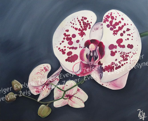 Orchidée tachetée 4
Acrylique sur toile
65 x 54 cm
/ Evelyne Zeiger